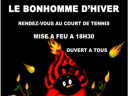 Bonhomme_hiver_photo_2015